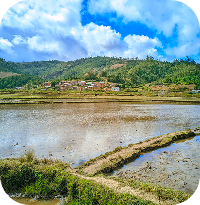 ghero 20230715 113509 lmc 8.4