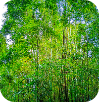 ghero 20230914 105417 lmc 8.4