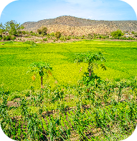 ghero 20231025 095641 lmc 8.4