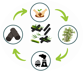 plant life cycle cut and paste worksheet in green white illustrative style (21 x 29.7 cm)